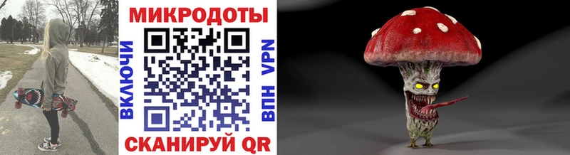 Галлюциногенные грибы Psilocybine cubensis  Липки 